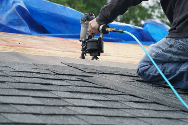 Best Roof Gutter Cleaning  in Hickory Hls, IL
